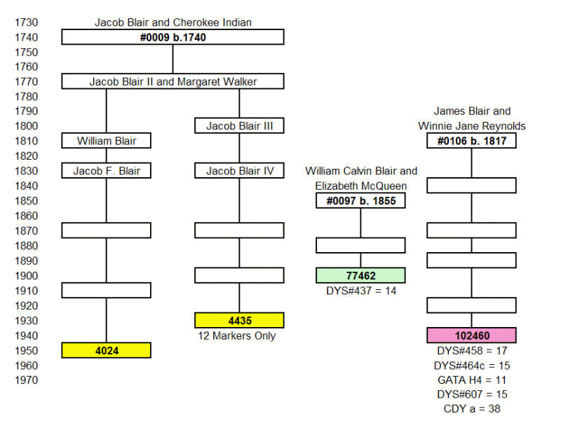 Group 9 Pedigree